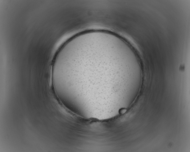 X0000092011175200709271523