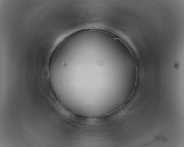 X0000092011176200709271523