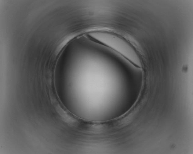 X0000092011177200709271523