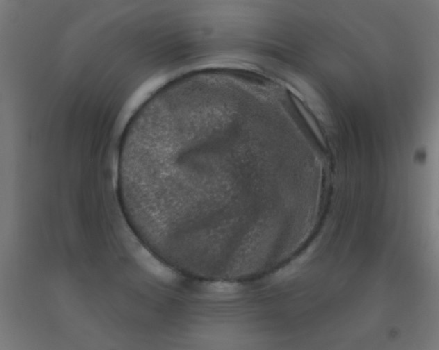 X0000092011180200709271523