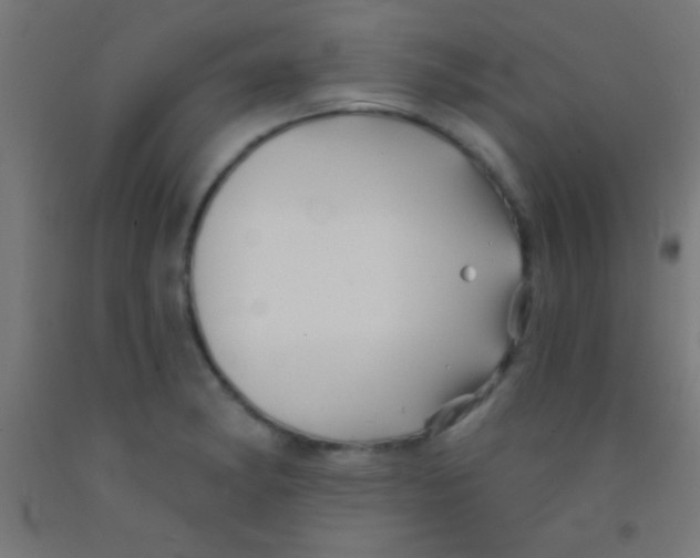 X0000092011182200709271523