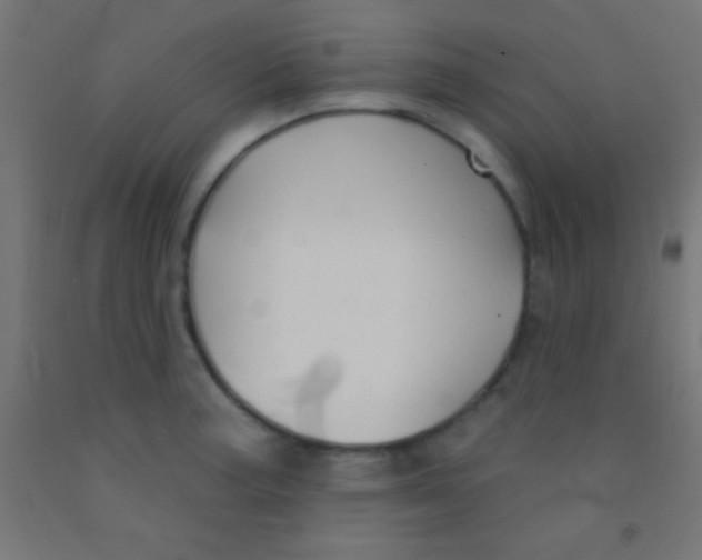 X0000092011187200709271523