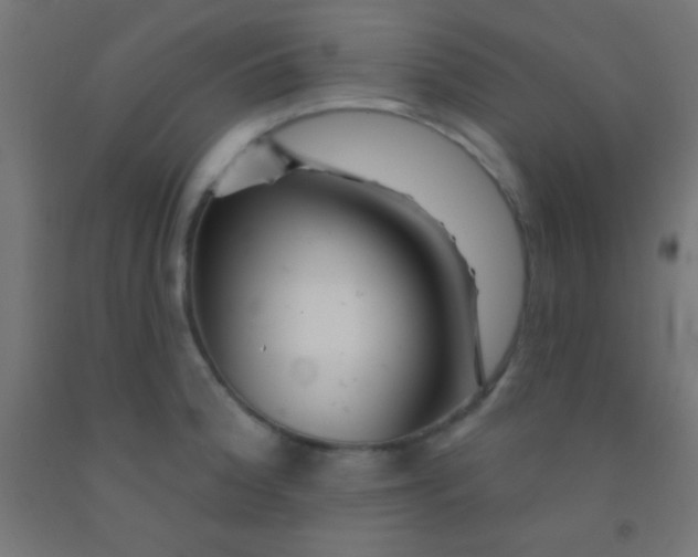 X0000092011188200709271523