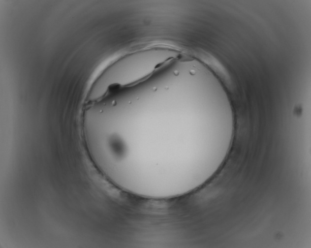 X0000092011190200709271523