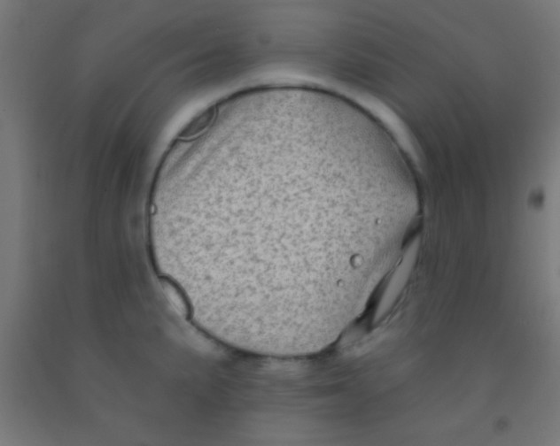 X0000092011191200709271523