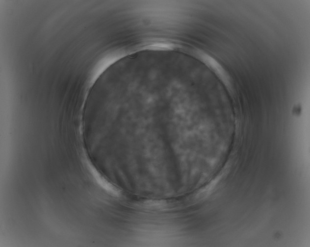 X0000092011194200709271522