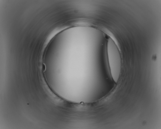 X0000092011195200709271522