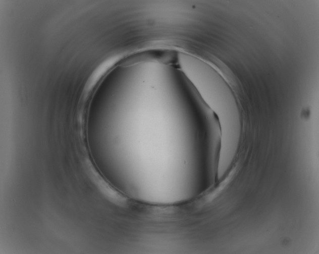 X0000092011196200709271522