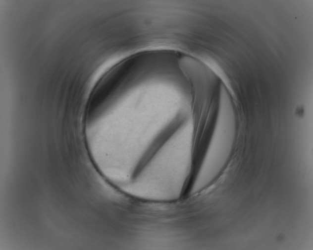 X0000092011197200709271522