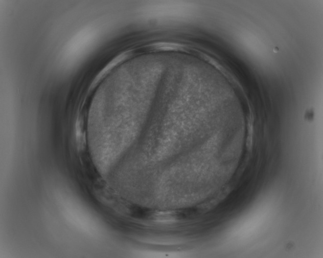 X0000092011198200709271522