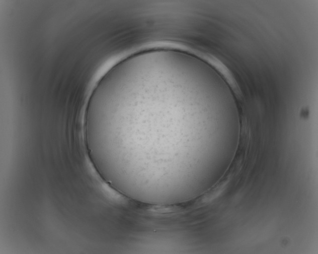 X0000092011199200709271522