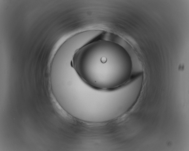 X0000092011200200709271522