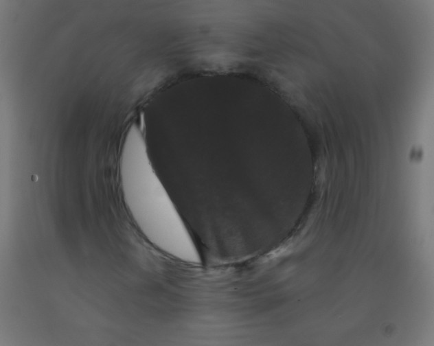 X0000092011202200709271522