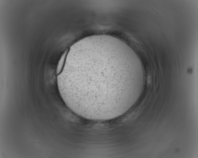 X0000092011204200709271522