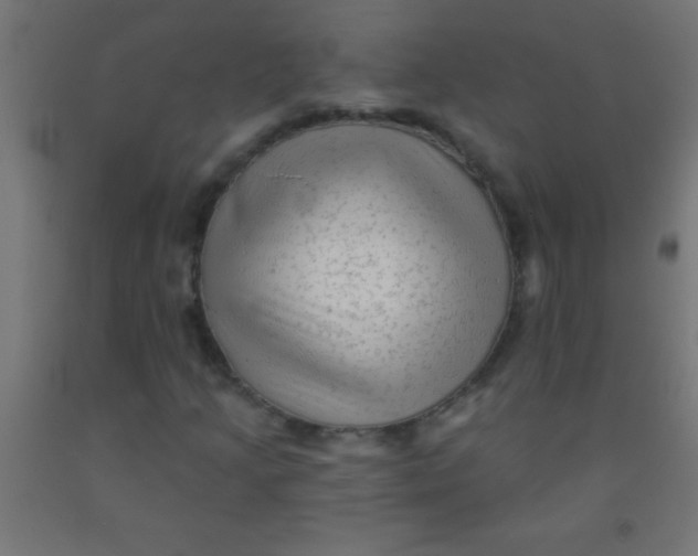 X0000092011205200709271522