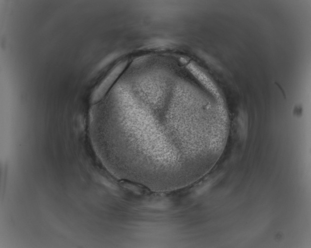 X0000092011206200709271522