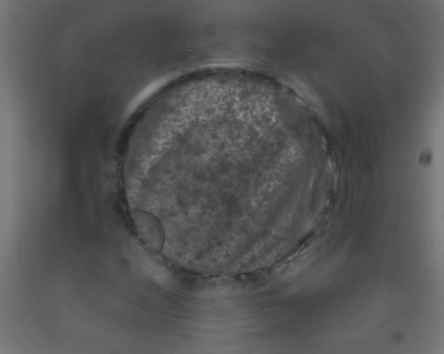 X0000092011208200709271522