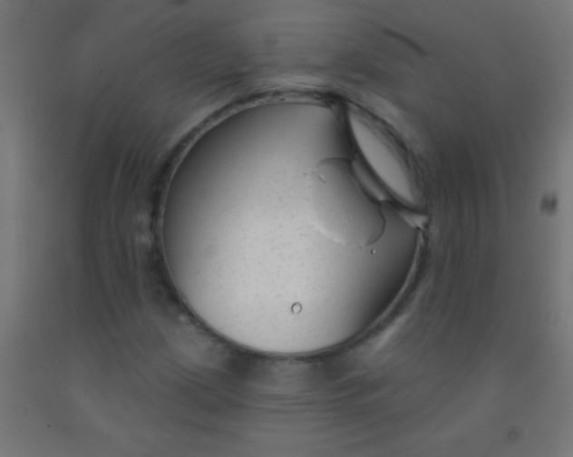 X0000092011209200709271522