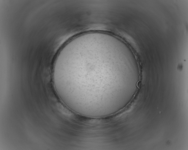 X0000092011212200709271522