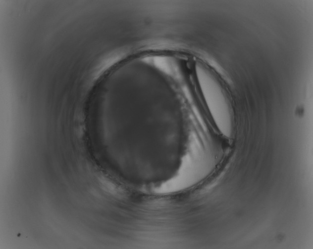 X0000092011213200709271522