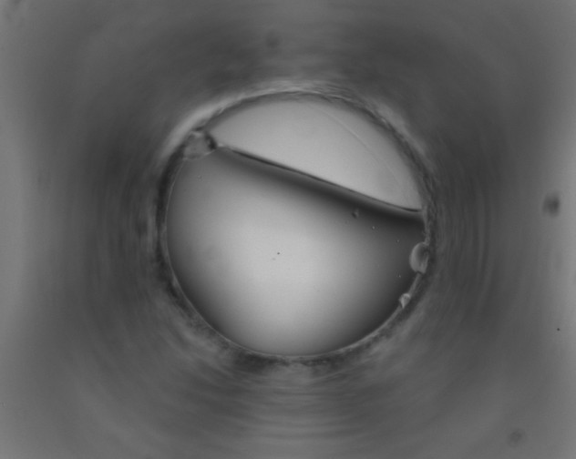 X0000092011214200709271522