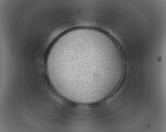 X0000092011215200709271522