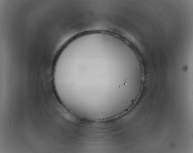 X0000092011216200709271522