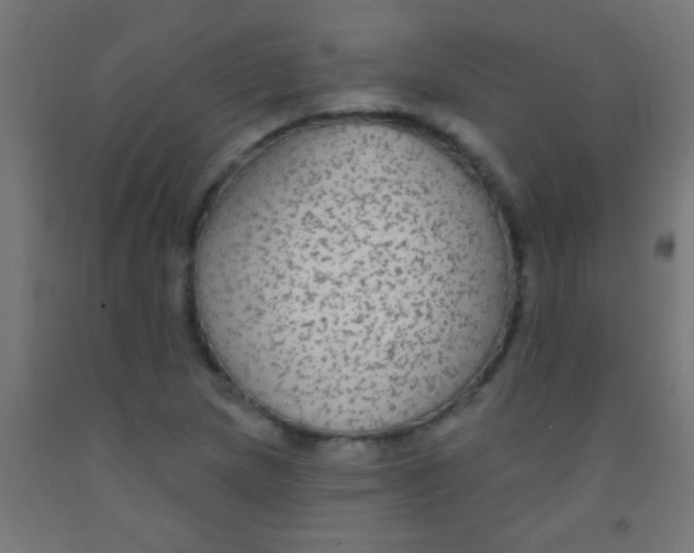 X0000092011217200709271522