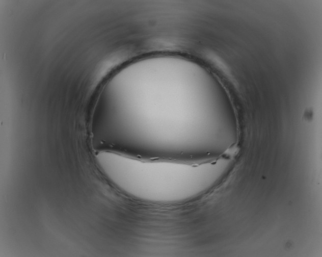 X0000092011218200709271522