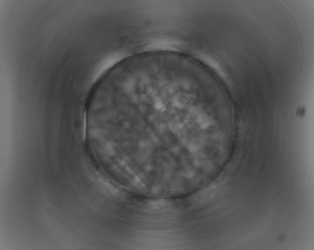 X0000092011219200709271522