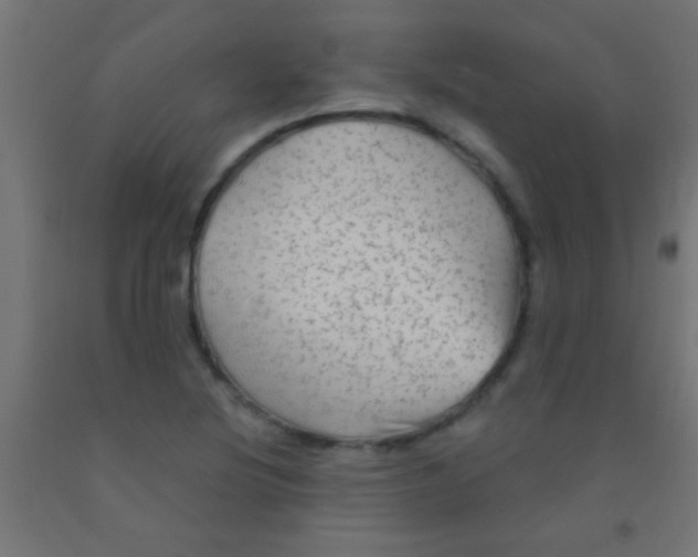 X0000092011220200709271522