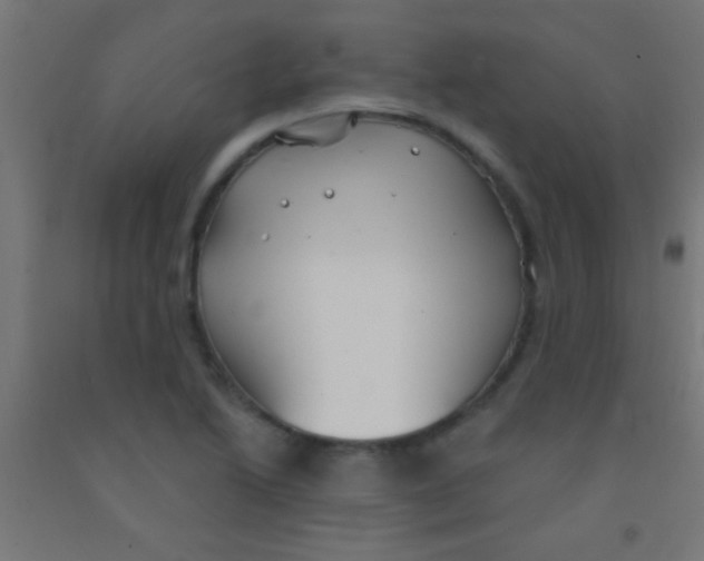 X0000092011222200709271522