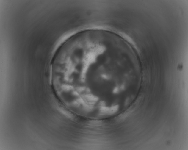 X0000092011223200709271522