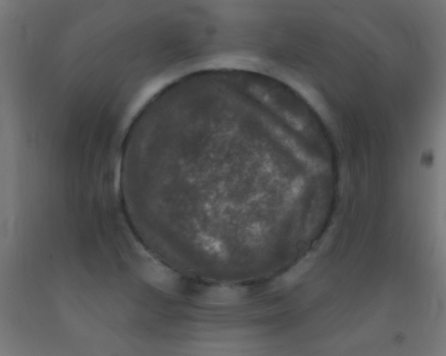 X0000092011224200709271522