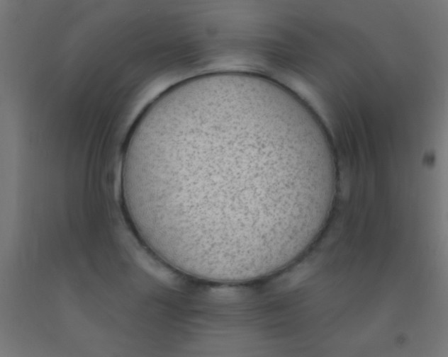 X0000092011227200709271522