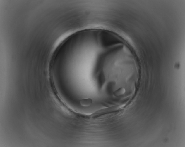 X0000092011230200709271522