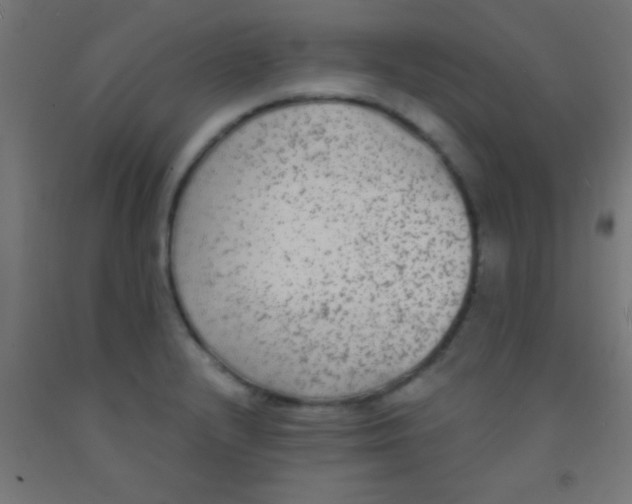 X0000092011232200709271522