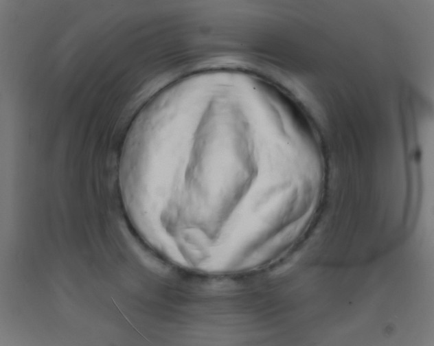 X0000092011233200709271522