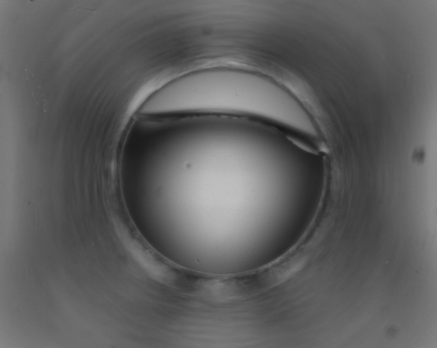 X0000092011234200709271522