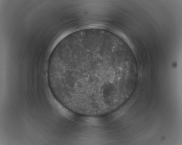 X0000092011235200709271522