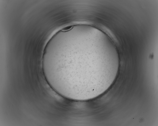 X0000092011236200709271522