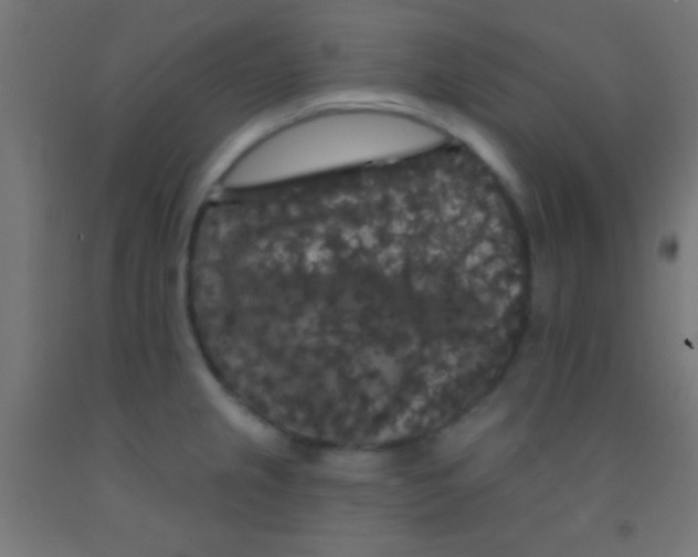 X0000092011237200709271522