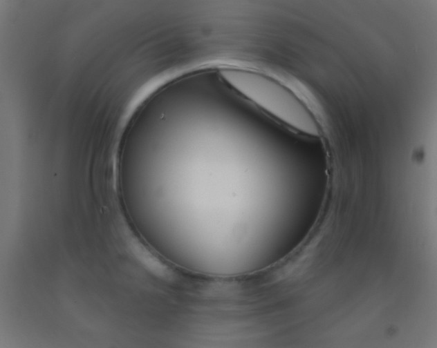 X0000092011238200709271522