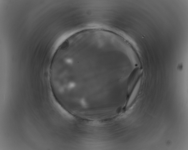 X0000092011239200709271522