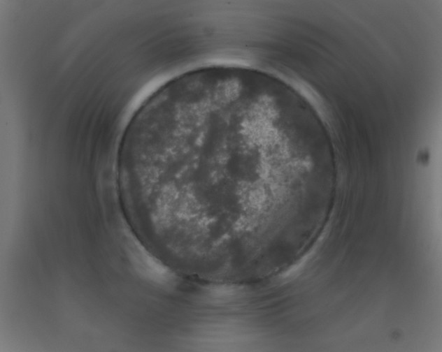 X0000092011240200709271522