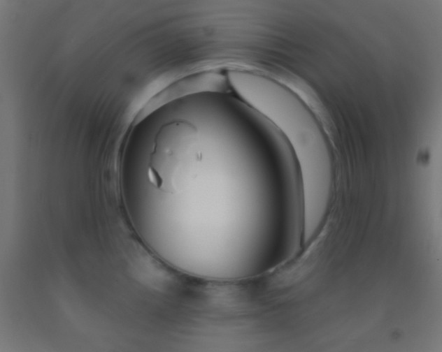 X0000092011242200709271522