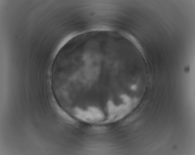 X0000092011243200709271522