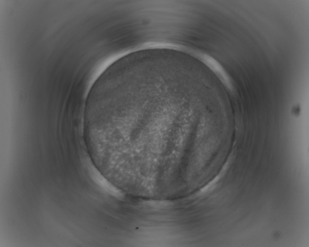 X0000092011244200709271522