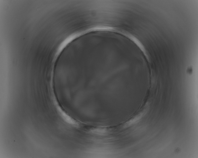 X0000092011245200709271522