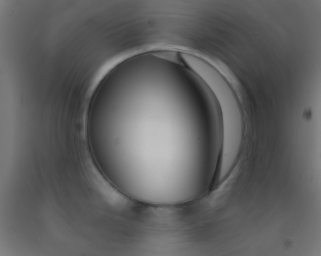 X0000092011246200709271522